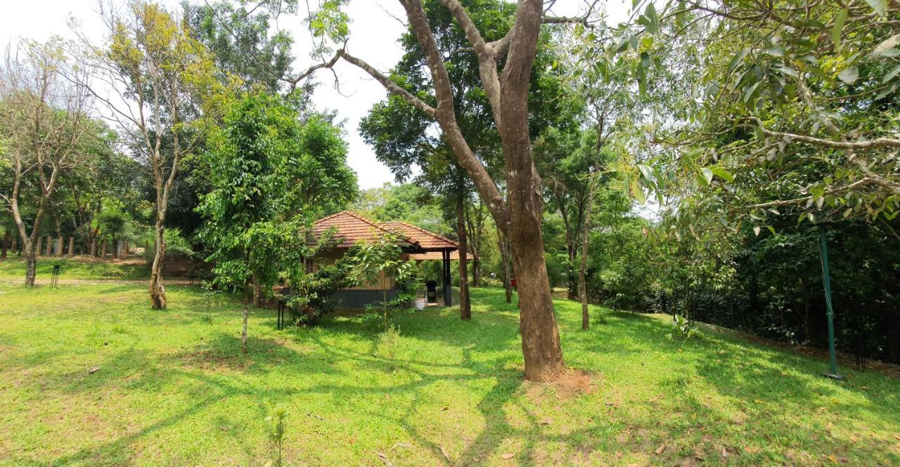 Klov Resort & Spa 瓦亚纳德 外观 照片